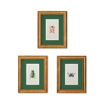 Rifle Paper Co. x Target 11"x14" Gold Foil Insect Poster Framed Wall Art Prints Set of 3 | Target