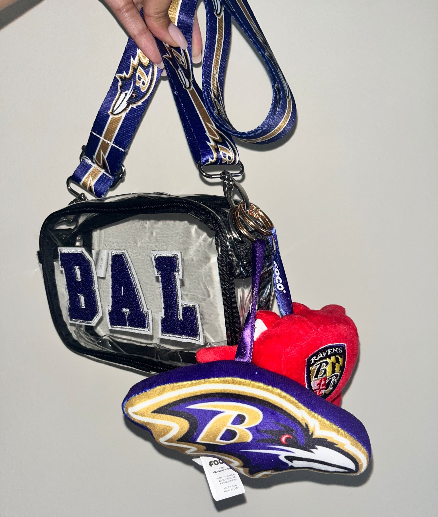 Go Ravens…🏈💜