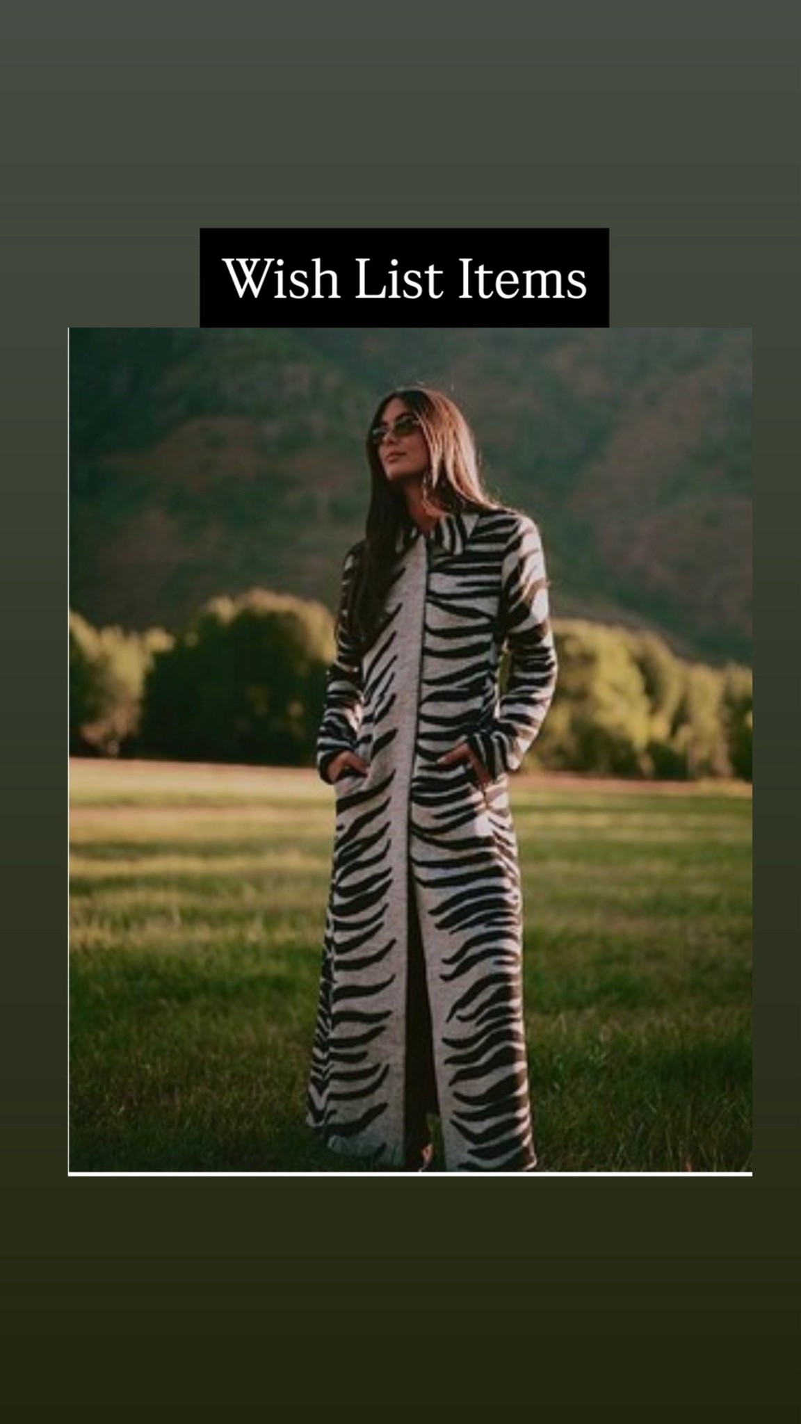 Items that need to be in my closet! 