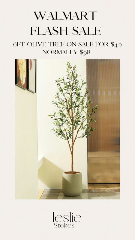 6ft potted olive tree on a flash sale for only $40, normally $98!!

#LTKxWalmart #LTKHome