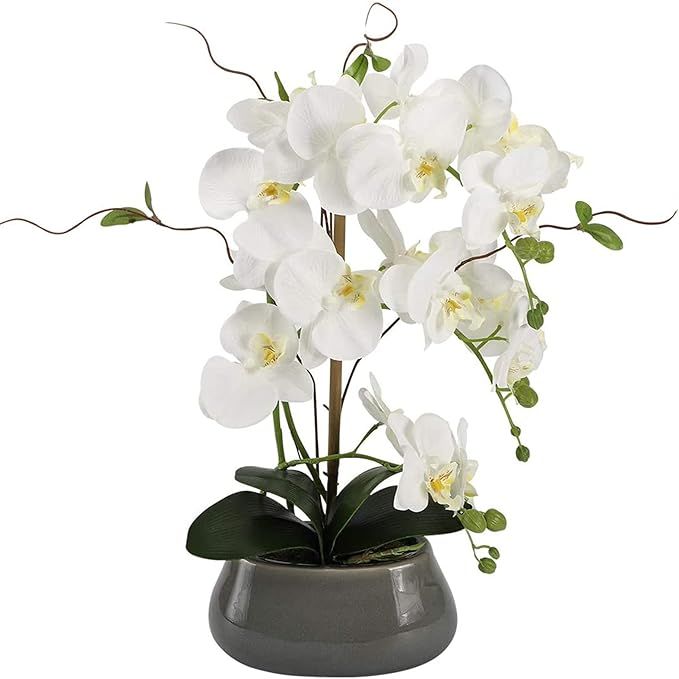 IHEALTHCOMFORT Faux White Orchid Artificial Flowers Phalaenopsis Plants with Vase for Home Kitche... | Amazon (US)