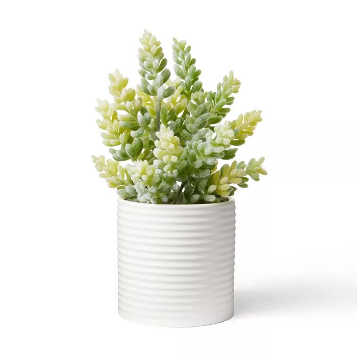 9.5" x 5" Faux Succulent Plant in Ribbed Pot White - Hilton Carter for Target | Target
