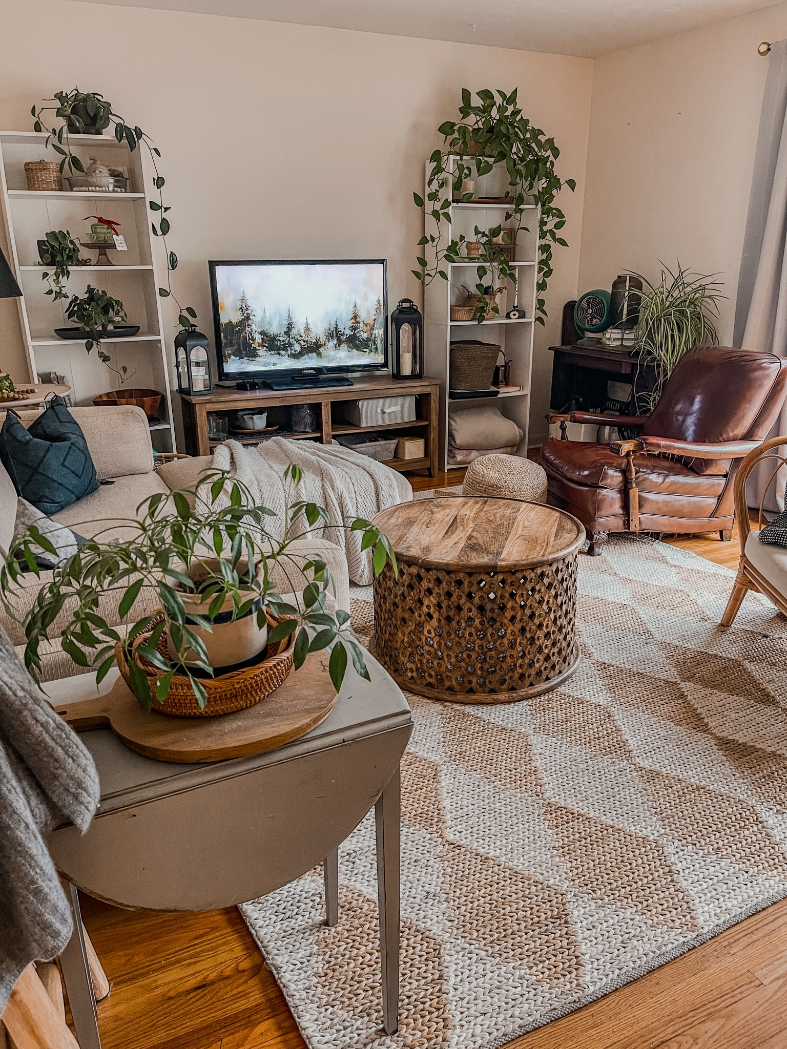 Cozy living room decor



#LTKstyletip #LTKfindsunder100 #LTKhome