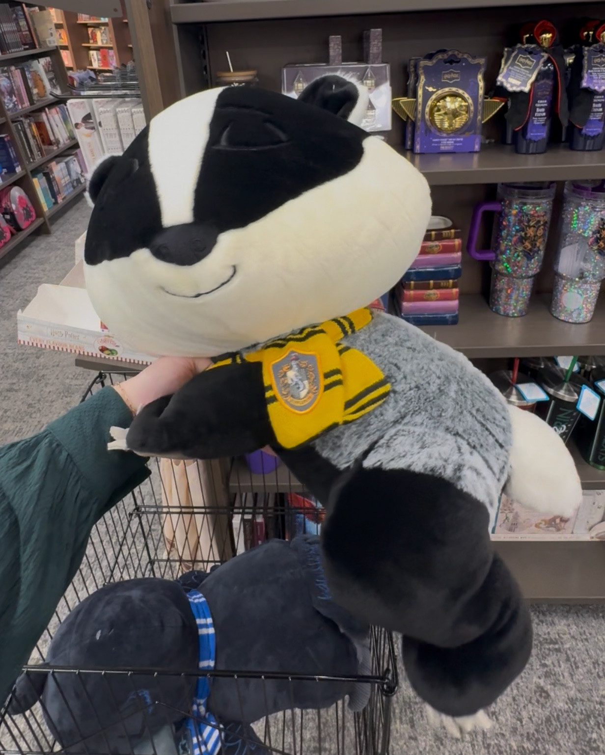 Harry Potter Hogwarts House sleeping mascot plushies! So cute!  🥰 

#LTKGiftGuide #LTKSeasonal #LTKHome