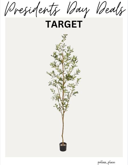 My favorite olive tree is less than $80! #target #presidentsdaydeals #homedecor

#LTKhome #LTKfindsunder100 #LTKsalealert