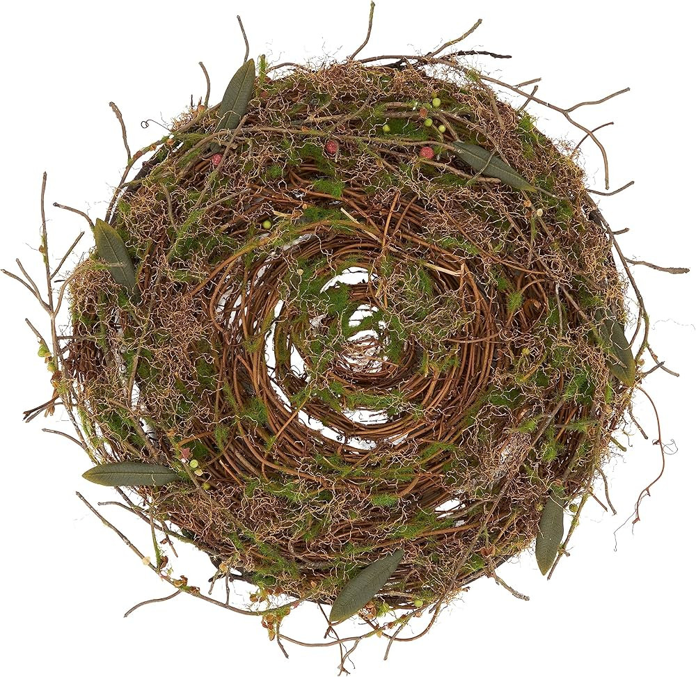 Rustic Charm Twig and Moss Placemat (Set of 4) | Amazon (US)