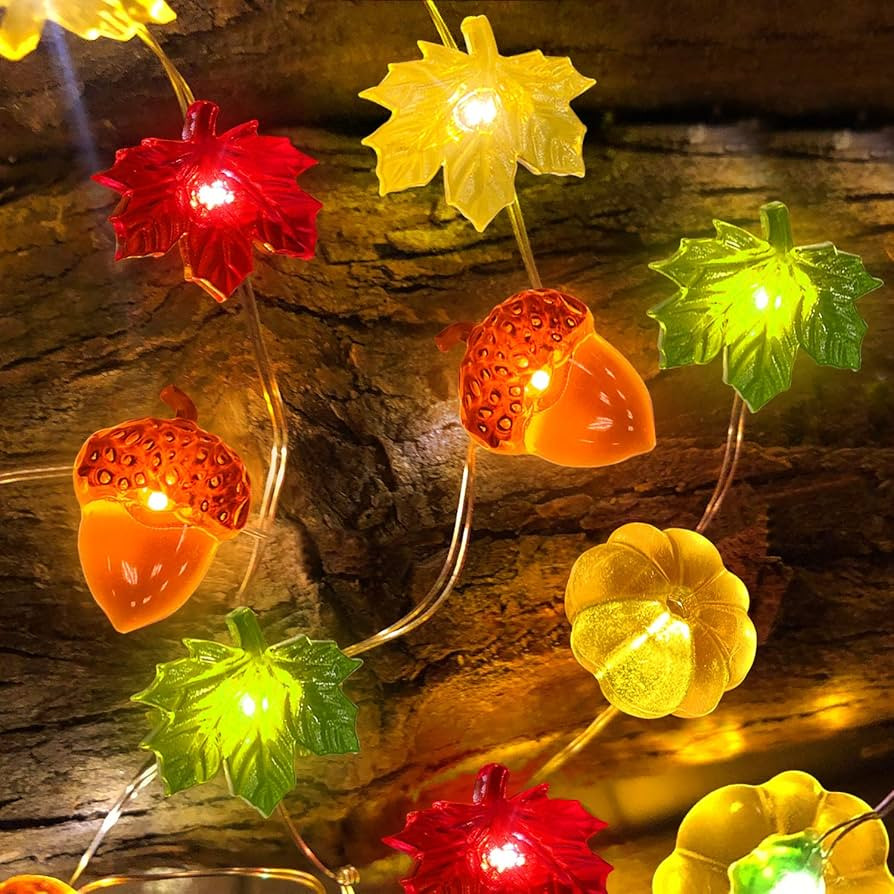 TURNMEON 30LED/10Ft 3D Fall Lights Pumpkin Fall Decorations for Home | Amazon (US)