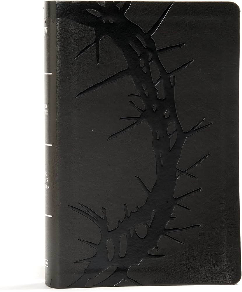 KJV Large Print Personal Size Reference Bible, Charcoal Leathertouch Indexed, Red Letter, Pure Ca... | Amazon (US)