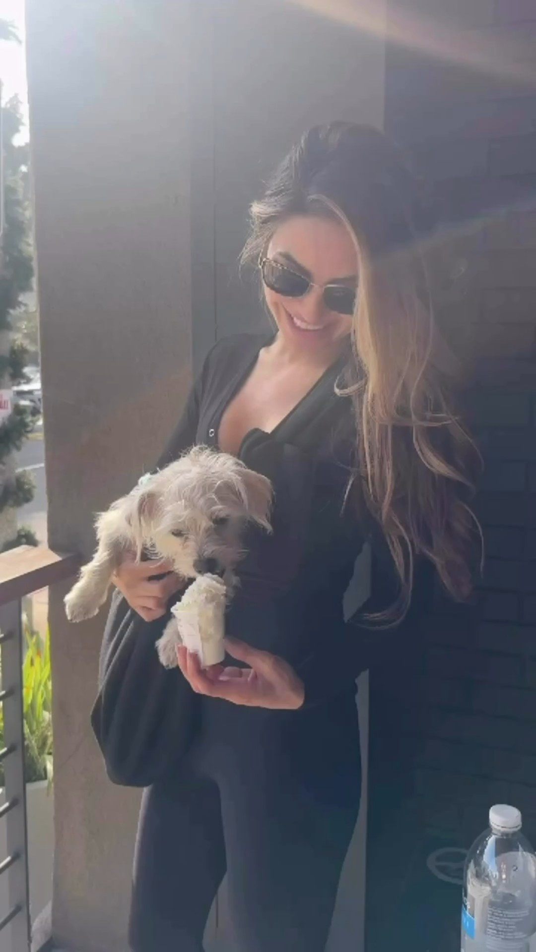 Pup cups always make your furry friends happy 🤍🐶

#LTKdayinmylife #LTKootd #LTKgrwm