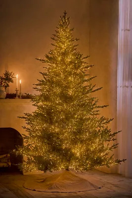 Faux Twinkling Pre-Lit Norway Spruce | Terrain