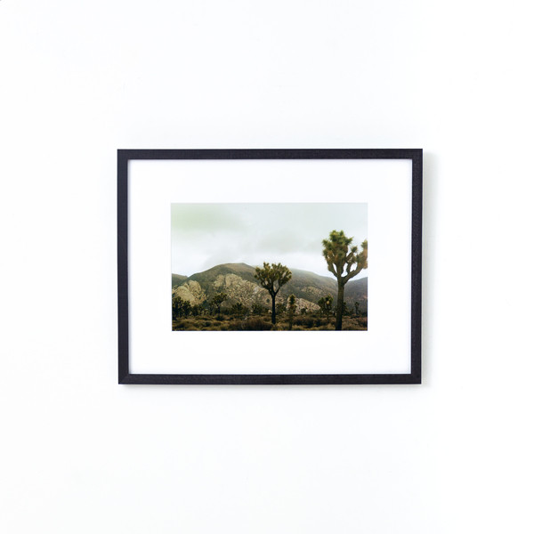 Black Walnut Mini | Framebridge