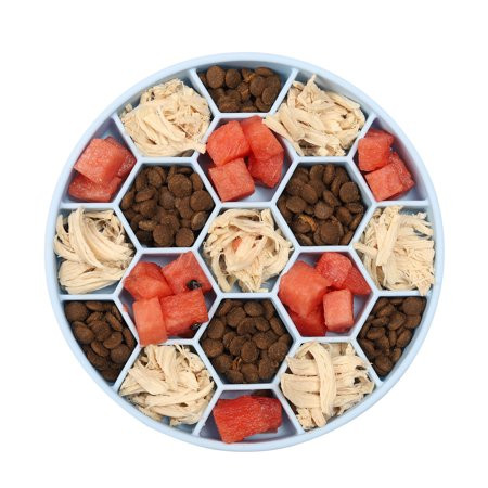 Ankishi Dog Slow Feeder Bowl Pet Medium Small Dogs Anti Gulping Food Bowl | Walmart (US)