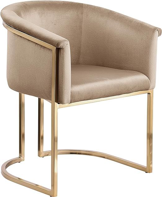 Meridian Furniture Tierra Collection Modern | Contemporary Upholstered Dining Chair with Luxuriou... | Amazon (US)