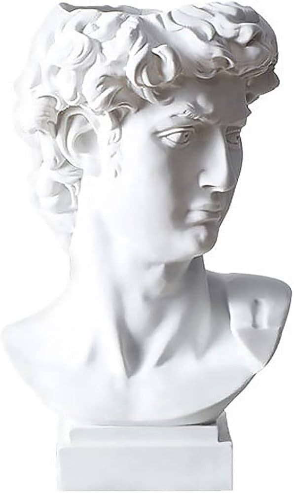 fazhongfa Greek Statue of David Bust Resin Sculpture for Roman Bookshelf Tabletop Office Home Dec... | Amazon (US)