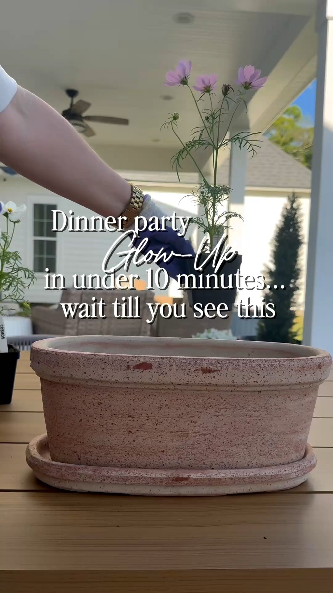 Dinner party glow-up in under 10 minutes… wait till you see this..

(I’m concentrating really hard on those flowers 😂.. actually it was very therapeutic for me! I love a good planting moment.. do you?! 


I wanted something that felt effortless but still looked elevated… and this came together SO good. I used a long oblong terracotta planter and filled it with the most colorful cosmos 🌸

They’re whimsical, a little romantic, and add the prettiest pop of color to the table. I laid everything out first to play with the colors, then planted all four, topped with fresh soil, and watered.

Finished it off with a few brass touch lamps + small lavender plants in terracotta pots and it instantly made the whole table feel warm and styled 🤍

Simple, affordable, and looks like you spent way more time on it than you did.

Save this for your next dinner party ✨

