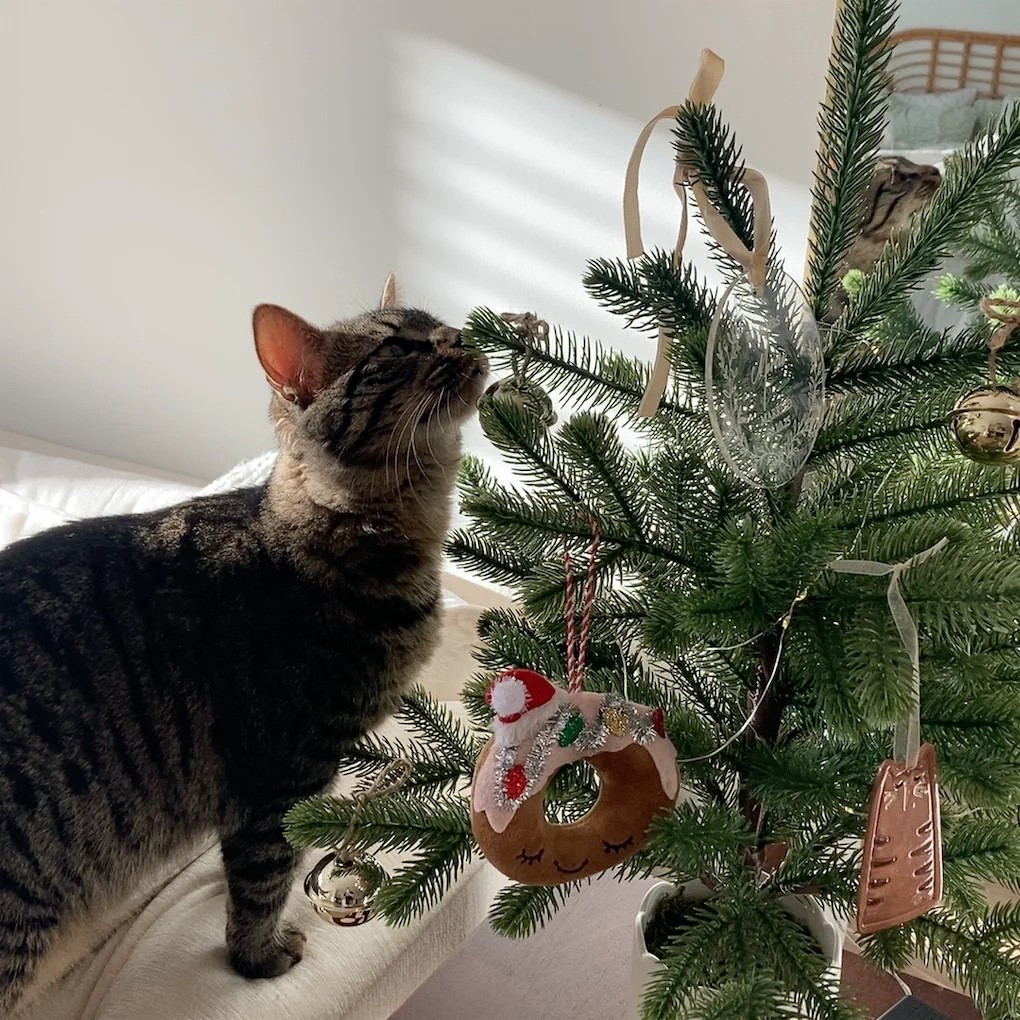 Little Mac’s first Christmas!🎄🩷 We love this little tree that is Mac sized in our apartment!!!

#LTKCyberWeek #LTKGiftGuide #LTKHoliday