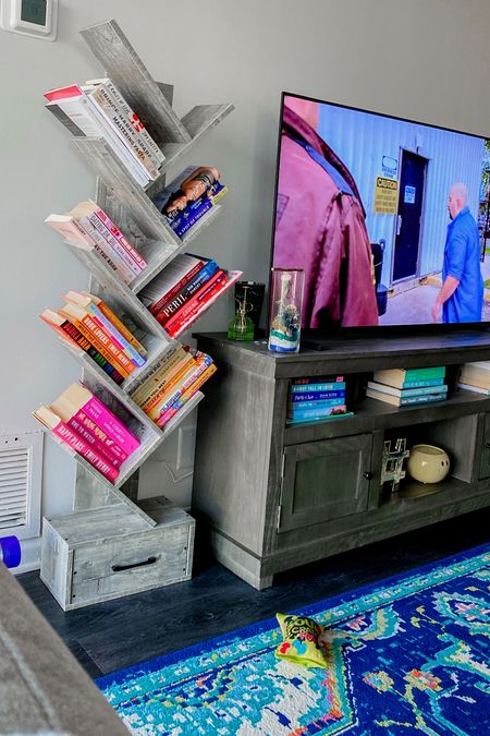My living room view: my turquoise, blue, and green area rug + a vertical bookshelf + my 55” high def smart tv

#LTKfindsunder100 #LTKhome #LTKsalealert