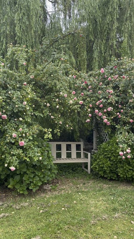 Outdoor furniture essentials. Garden bench. Best climbing roses. Beautiful garden gift for mom. Mother’s Day gift for mom. Father’s Day gift for dad. Pottery Barn finds. Amazon finds. 💕🌸

#LTKhome #LTKGiftGuide #LTKfindsunder100