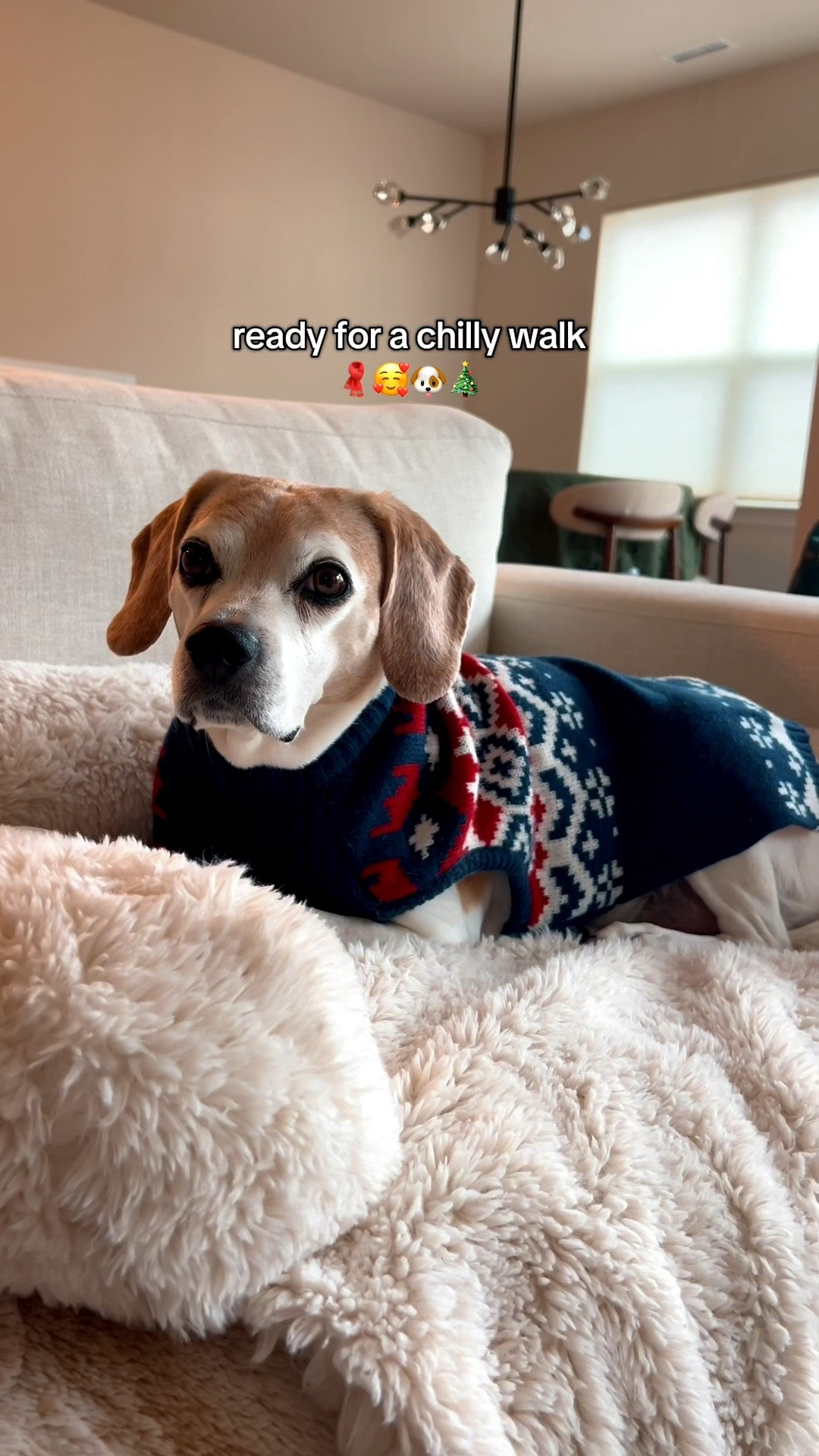 Vlogmas day 2 ❤️ door mat is from Costco 

#LTKHome #LTKdayinmylife #LTKHoliday