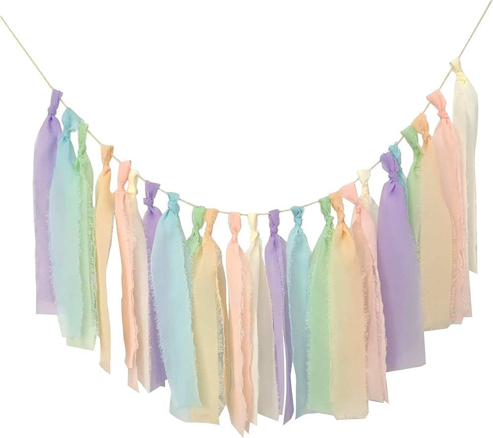 Pastel Chiffon Tassel Garland Wall Hanging Decor for Girls Bedroom Wall Classroom Nursery Party K... | Amazon (US)