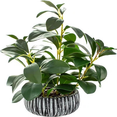 Alphaacc Artificial Plants Decor Greenery Fake Succulents Indoor Potted Fake Plant With Rustic Black Clay Planter For Farmhouse Room Bathroom Bedroom | Wayfair North America