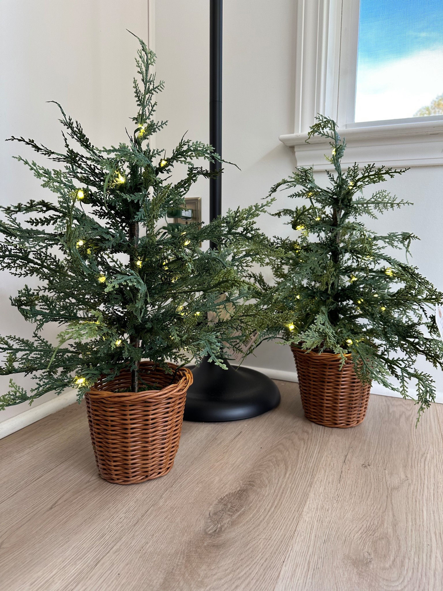 The cutest little 24inch tress from Walmart! The Texas house collection 

#LTKFindsUnder50 #LTKFamily #LTKHome