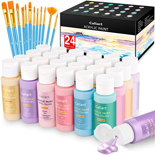 Acrylic Paint Set With 12 Brushes, 24 Colors (59ml, 2oz) Art Craft Paints for Adults Artists Beginners Painters, Canvas Halloween Pumpkin Ceramic Wood Rock Painting Art Supplies (Pastel) | Amazon (US)