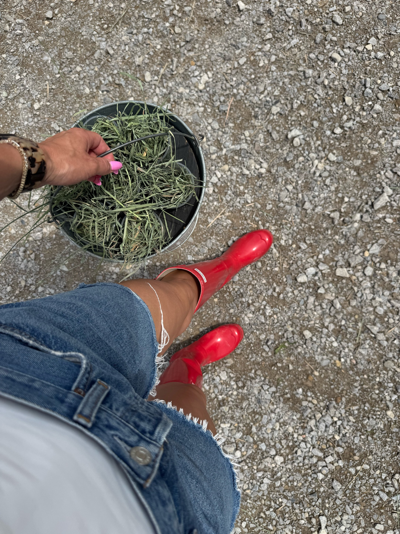 My favorite summer shorts | Jean shorts | denim short | agolde shorts

#LTKootd #LTKmomlife #LTKdayinmylife