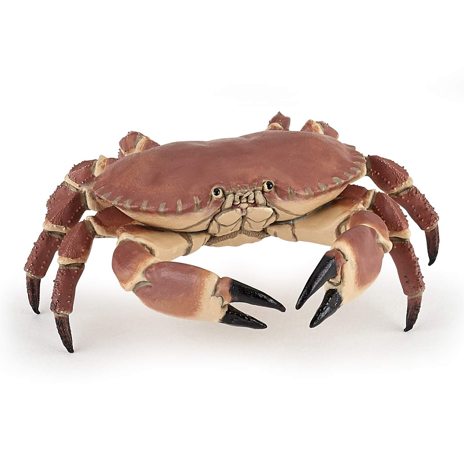 Papo - Sleeping Crab Figurine - Ocean Animal Toy for Kids Age 3+ - Hand-Painted Marine Invertebra... | Amazon (US)