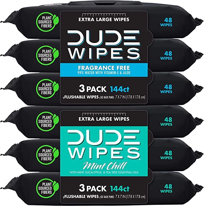 DUDE Wipes Flushable Adult Wipes - 6 Pack, 288 Wipes - Unscented Wet Wipes with Vitamin-E & Aloe ... | Amazon (US)