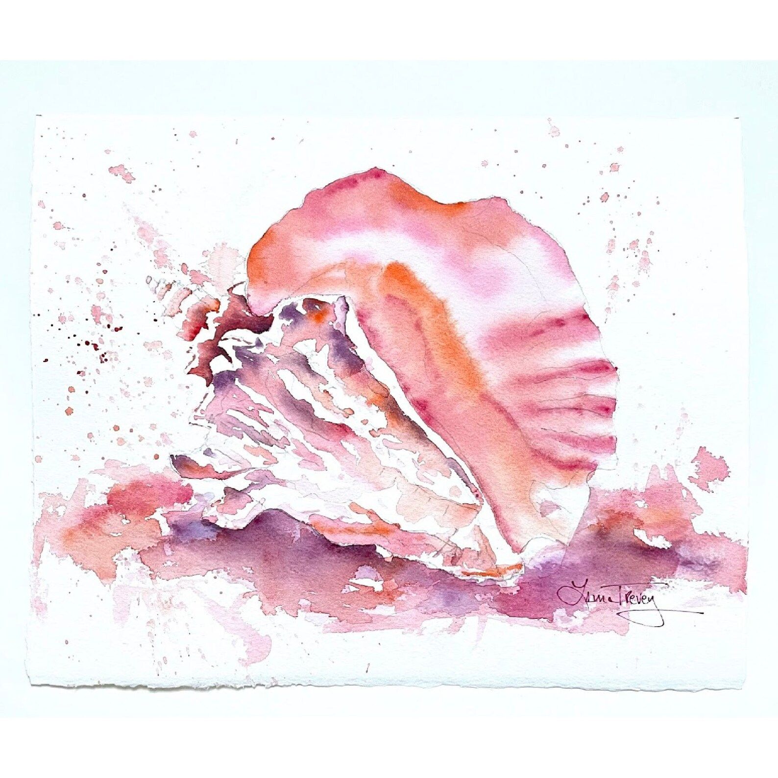 Conch Shell Coastal Watercolor Painting - Coastal Art | Etsy (US)