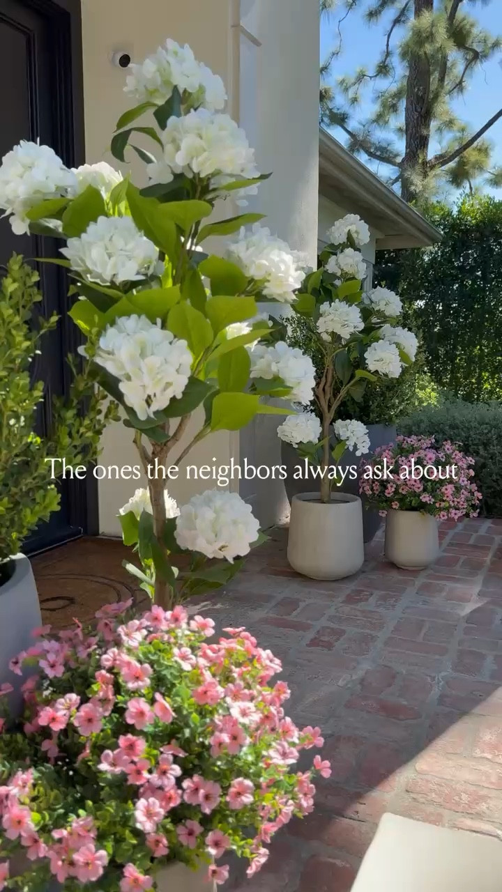 Our neighbors stop and ask about these all the time—and they’re always shocked when I say they’re faux… and all from Amazon 👀

#LTKHome #LTKvlog #LTKSeasonal