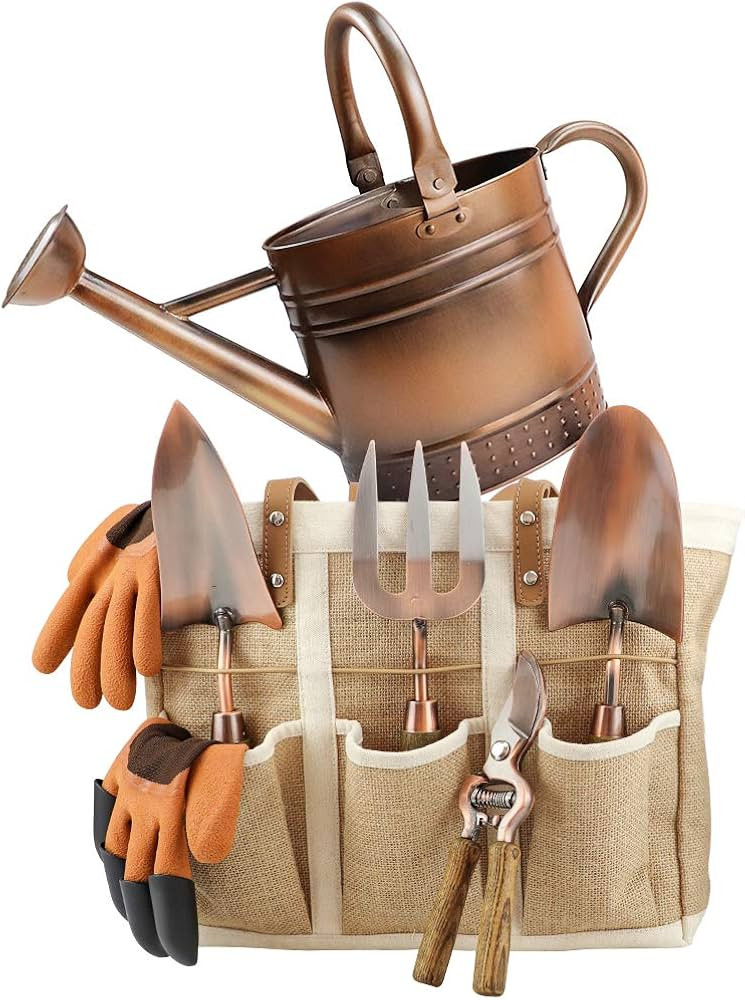 1 Gallon Galvanized Steel Watering Can with 3 Pcs of Garden Tools, 1 Pc of Pruning Shear, 1 Pair ... | Amazon (US)
