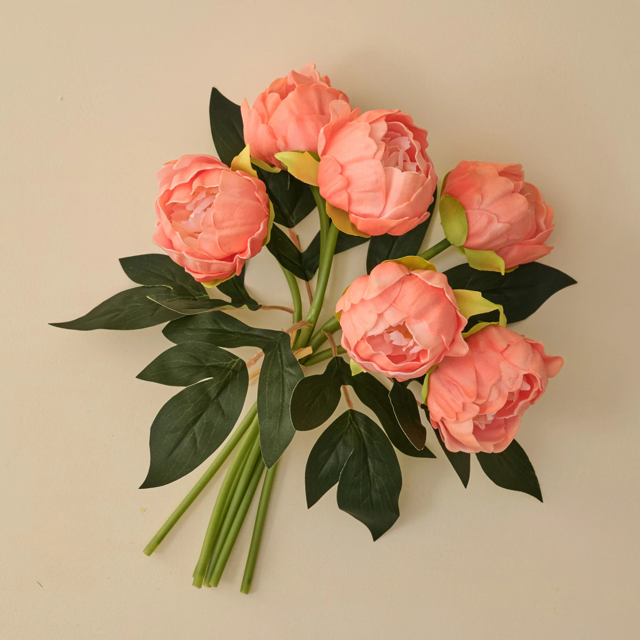 Peony Bundle | Magnolia