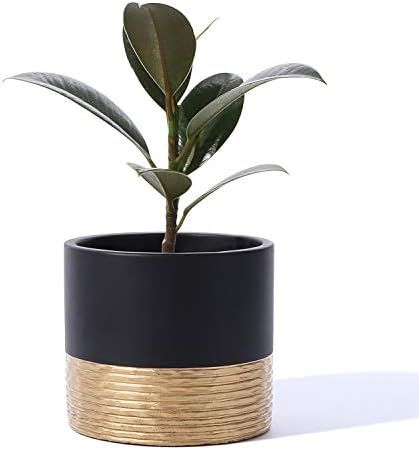Cement Planter Pots for Plants Indoor - 5 Inch Indoor Concrete Plant Pot Bonsai Container with Dr... | Amazon (US)