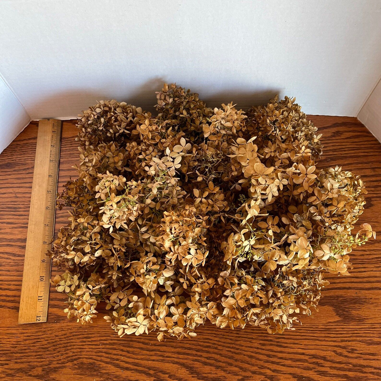 Dried Hydrangea Flowers - Stemless | Etsy (US)