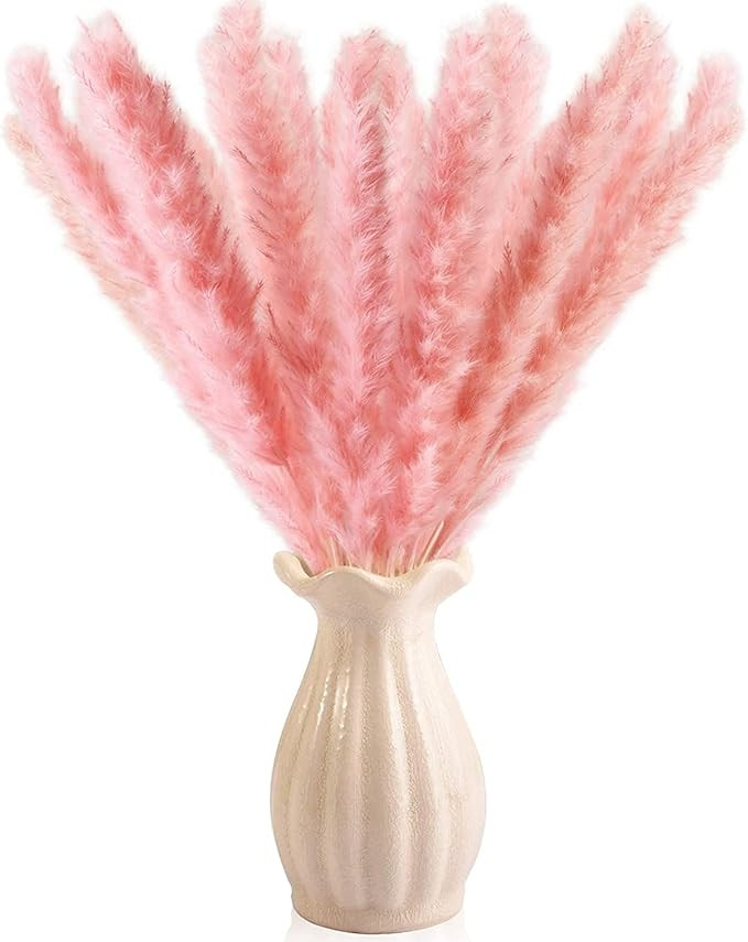 Dry Pampas Grass Natural Dried Bundle for Home Decor 20pcs (Pink) | Amazon (US)