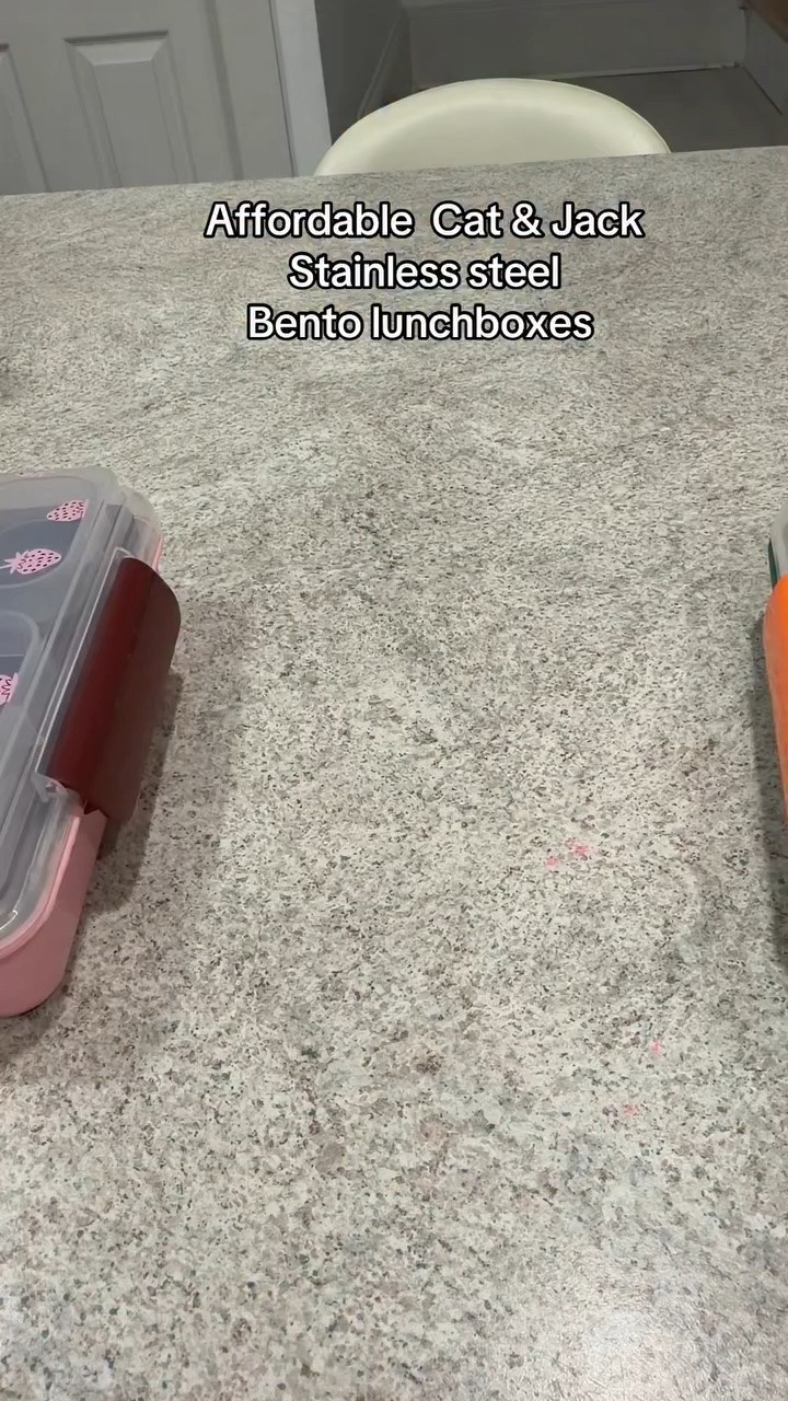 Affordable stainless steel lunch boxes 
@target @targetcatandjack 

#affordable #backtoschoolshopping #stainlesssteellunchbox #catandjack