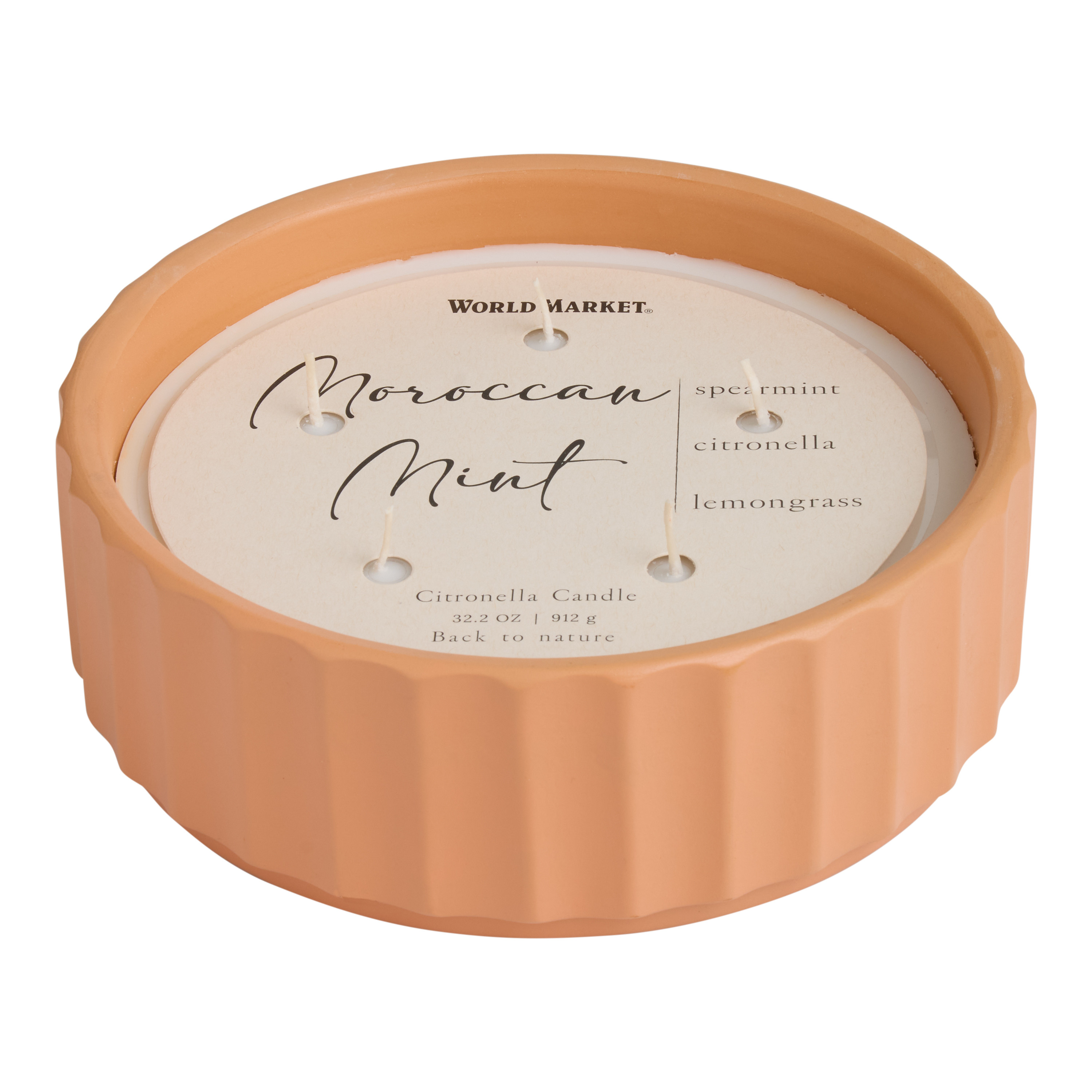 Terracotta Ribbed Moroccan Mint 5 Wick Scented Citronella Candle | World Market
