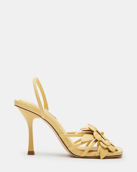 AROSE YELLOW LEATHER | Steve Madden (US)