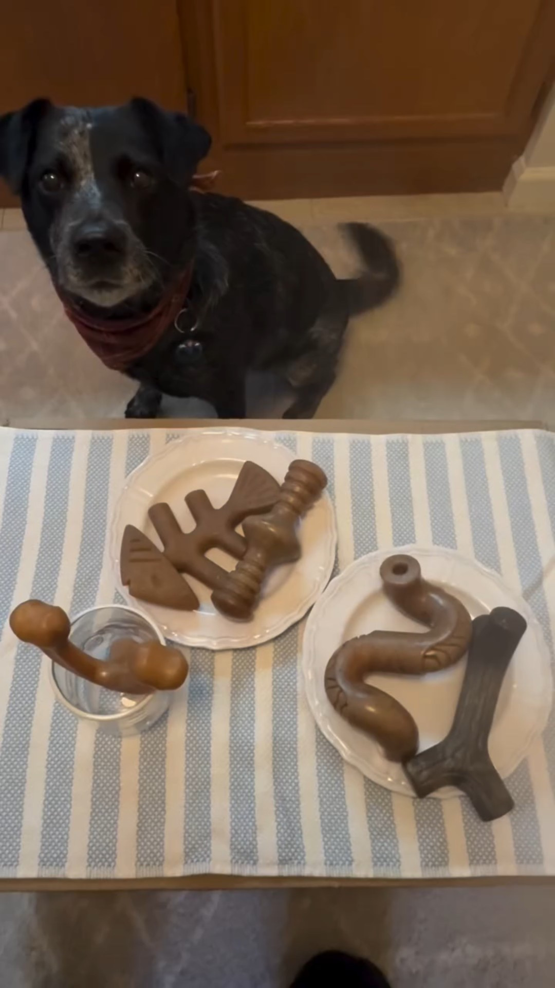 Just a girl and her… five-course Benebone tasting menu 

#benebone #dogdinner #girldinner #ispyjosie #dogtreats #dogchews #dinner #dinnerparty #dinnervibes #njdog

#LTKselfcare #LTKActive #LTKfoodie