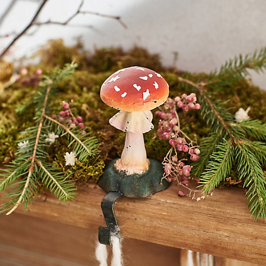Forest Mushroom Stocking Holder | Terrain