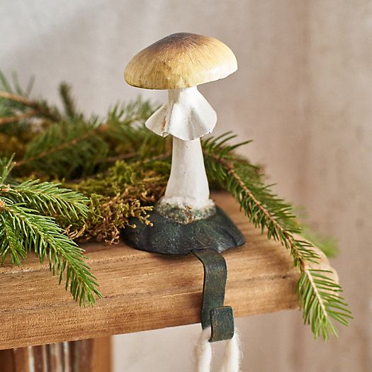 Forest Mushroom Stocking Holder | Terrain
