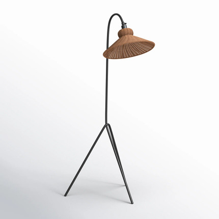 Plumeria 63.75'' Black Arched Floor Lamp