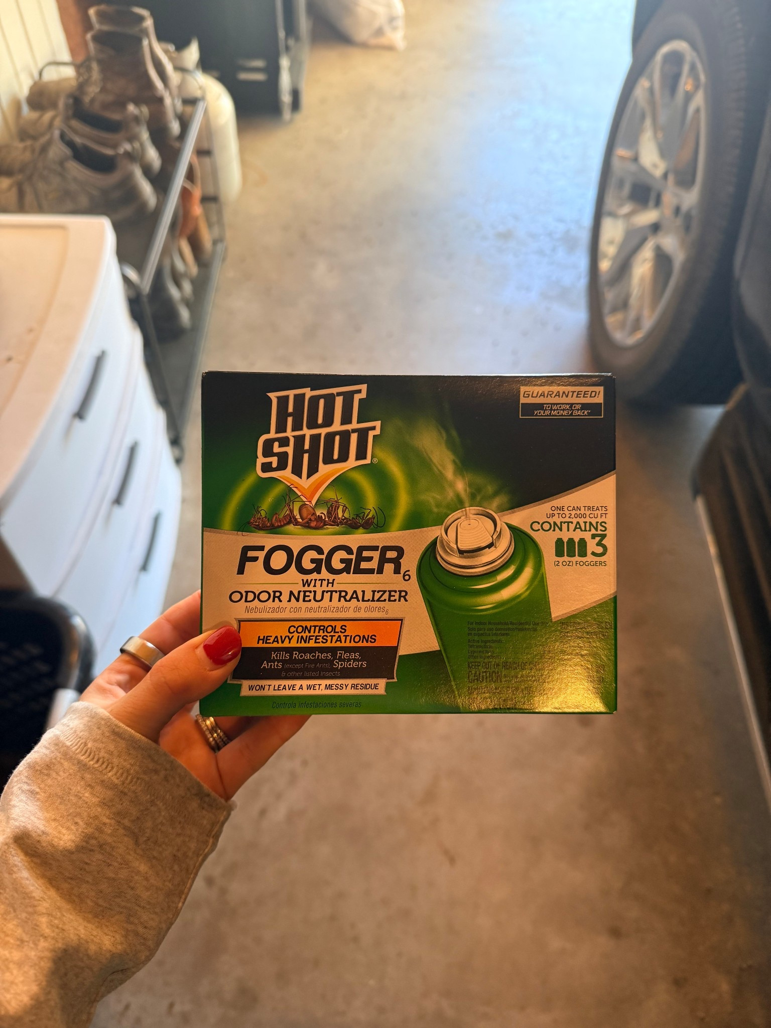 Is it just me or are the flies the worst ever? 