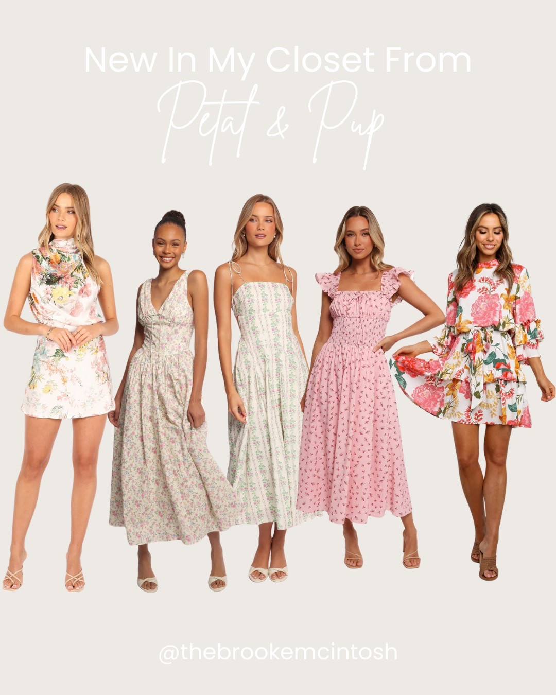 Petal & Pup pieces I’m trying on this week. Simple, flattering, and easy to wear🤍 Perfect for any spring event! 

#LTKStyleTip #LTKWedding #LTKSeasonal