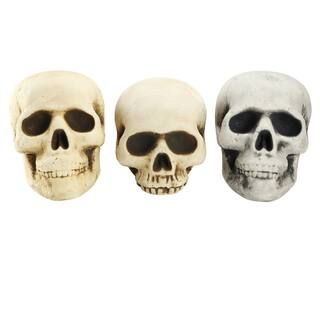 Assorted Foam Skull Head by Ashland® | Michaels Stores