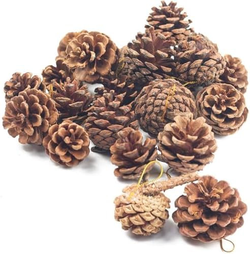 JOHOUSE 18 PCS Hanging Natural Pine Cones, Rustic Pinecones Crafts with String Fall Garland Decor... | Amazon (US)