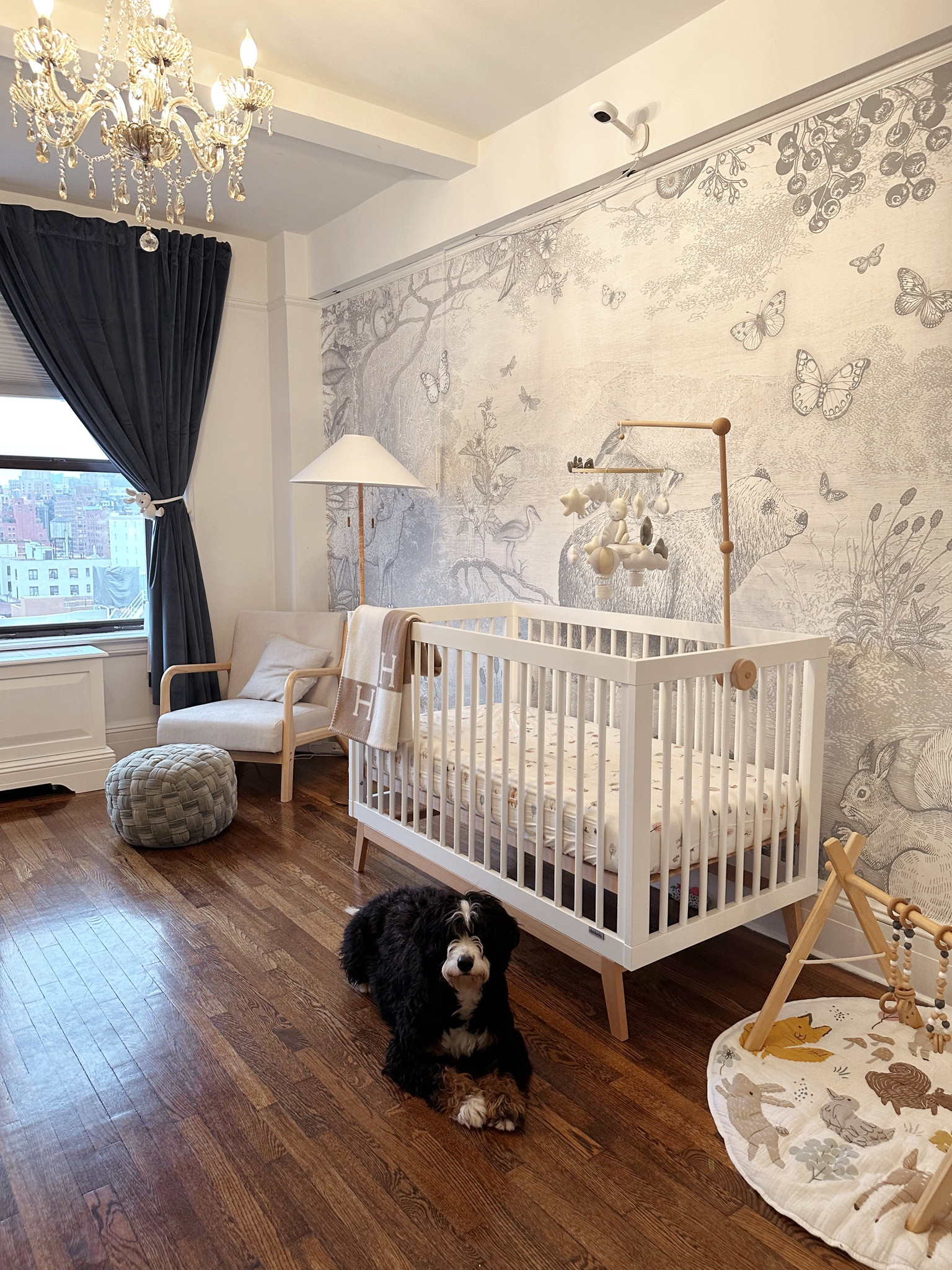 Baby boy room wallpaper 2024 ideas