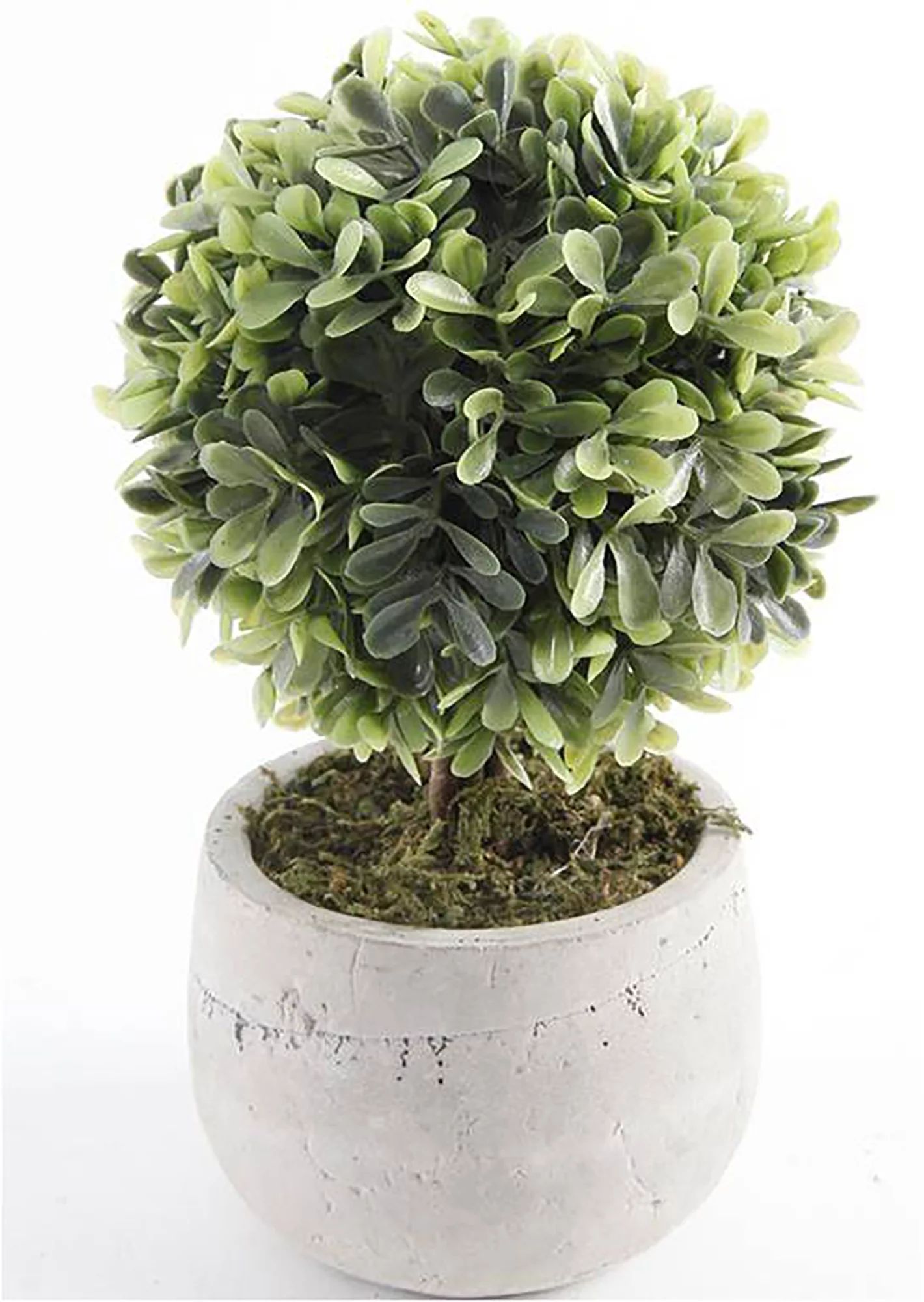 Mainstays 7.5" Artificial Mini Boxwood Topiary in Gray Cement Planter (7.5"H x 4.5"W x 4.5"D) | Walmart (US)